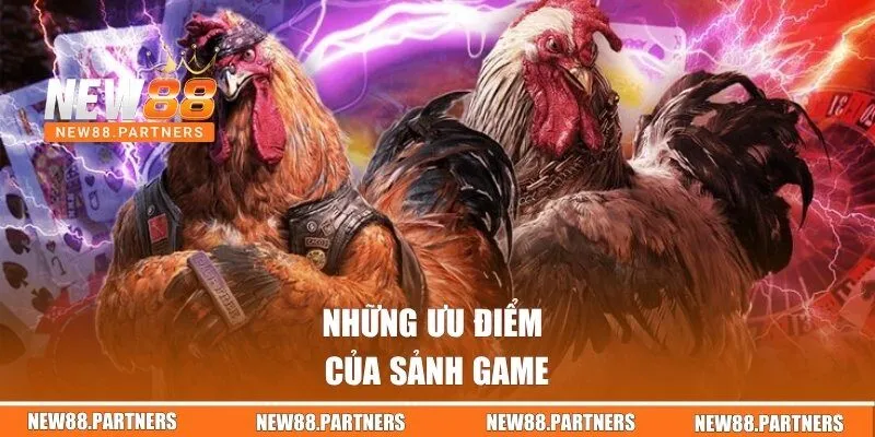 Đá Gà | Sân Chơi Đậm Chất Nghệ Thuật Và Kịch Tính Tại New88 2 Những ưu điểm của sảnh game
